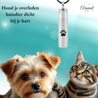 Stalen Ashanger Buis Mat Zilverkleur Pootafdrukken &acirc;&euro;&ldquo; 46mm - Heren