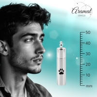 Stalen Ashanger Buis Mat Zilverkleur Pootafdrukken &acirc;&euro;&ldquo; 46mm - Heren