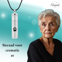 Stalen Ashanger Buis Mat Zilverkleur Pootafdrukken &acirc;&euro;&ldquo; 46mm - Heren