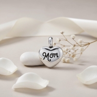 Stalen Asbedel Hart met Inscriptie Mom voor Armband of Ketting 12mm - Heren