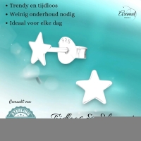 925 Sterling Zilveren Platte Sterretjes Oorknopjes 6mm -