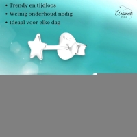 925 Sterling Zilveren Platte Sterretjes Oorknopjes 4mm -