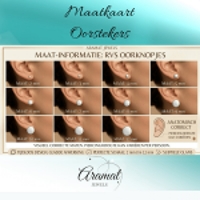 925 Sterling Zilveren Sterretjes Oorknopjes met Opaal Wit Kristal 5mm -