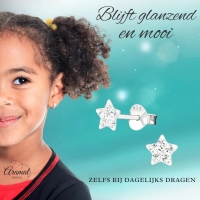 925 Sterling Zilveren Sterretjes Oorknopjes met Transparant Kristal 5mm -