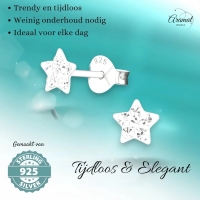925 Sterling Zilveren Sterretjes Oorknopjes met Transparant Kristal 5mm -