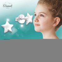 925 Sterling Zilveren Sterretjes Oorknopjes 6mm -