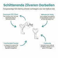 Zilveren Kinderoorbellen Sleutel 6x4mm - Unisex