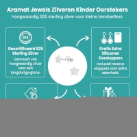 Zilveren Kinderoorbellen Transparante Glitter Ster 5mm -