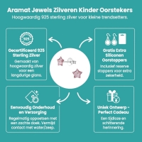 Zilveren Kinderoorbellen Paarse Glitter Ster 5mm -