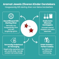 Zilveren Kinderoorbellen Rode Glitter Ster 9mm -