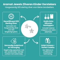 Zilveren Kinderoorbellen Transparante Glitter Ster 9mm - Unisex