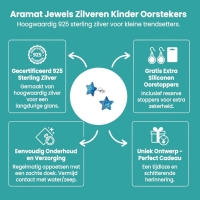 Zilveren Kinderoorbellen Blauwe Glitter Ster 9mm - Unisex