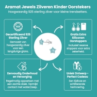 Zilveren Kinderoorbellen Blauwe Glitter Ster 5mm -