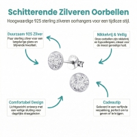 Sterling Zilveren Oorstekers Transparant Glitter 5mm -