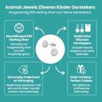 Sterling Zilveren Oorstekers Transparant Glitter 5mm -