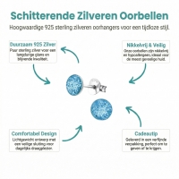 925 Zilveren Kinderoorbellen Blauwe Glitter Rond 5mm -
