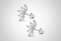 Stalen Zirkonia Waaiertjes Oorbellen 10mm Schroefsluiting