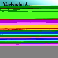Goudkleurige 3-Lijns Halve Oorringen 24x9,5mm Twist RVS -