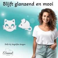 Poes en Muis Oorbellen 10mm Zilverkleurig Staal -