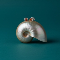 Zilverkleurige RVS Oorstekers Geboortesteen Juli - Rood/Oranje - 3 mm -