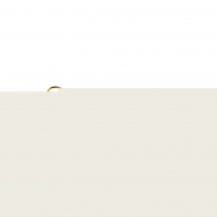 Goudkleurige RVS Oorstekers met Rode Zirkonia - 3mm -