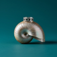 Zilverkleurige Verstelbare RVS Ring met Zwart Boze Oog en Schakelmotief -