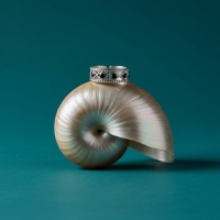 Zilverkleurige Verstelbare RVS Ring met Zwart Boze Oog en Schakelmotief -