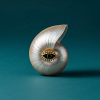 Goudkleurige Verstelbare RVS Ring met Zwart Emaille Boze Oog - 9 mm -