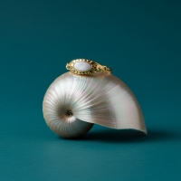 Goudkleurige Verstelbare RVS Ring met Parelmoer Wit Emaille - 6 mm -