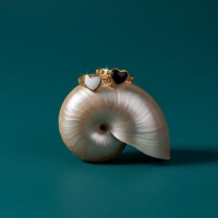 Verstelbare RVS Ring met Emaille Hartje - Goudkleur (8 mm) - Zwart -