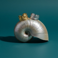 Brede Verstelbare Ring RVS met Vlecht Motief - 13 mm - Zilverkleur -
