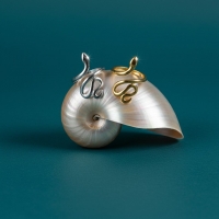 Grote Verstelbare Slangenring van RVS - 28mm Statement Ring - Zilverkleur -