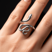 Grote Verstelbare Slangenring van RVS - 28mm Statement Ring - Zilverkleur -