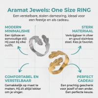 Verstelbare RVS Ring met Verfijnd Veer-Ontwerp (17 mm) - Zilverkleur -