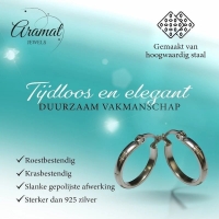 RVS Oorringen met Ankermotief Zilverkleur 20mm -