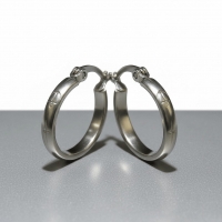 RVS Oorringen met Ankermotief Zilverkleur 20mm -