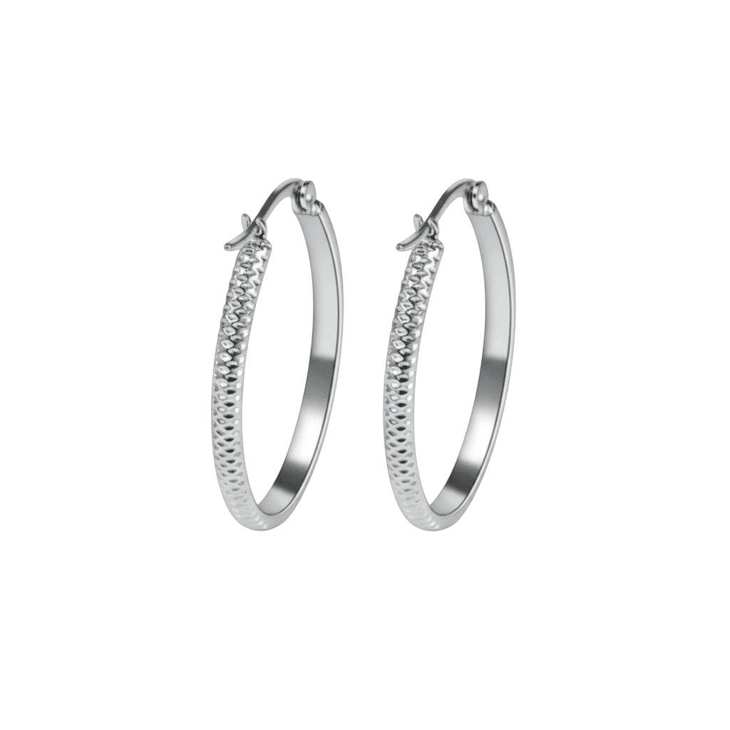 RVS Oorringen met Puntjes Motief Zilverkleur 30mm -