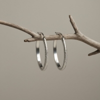 RVS Oorringen met Puntjes Motief Zilverkleur 20mm -