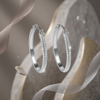 RVS Oorringen met Puntjes Motief Zilverkleur 20mm -