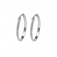 RVS Oorringen met Puntjes Motief Zilverkleur 20mm -