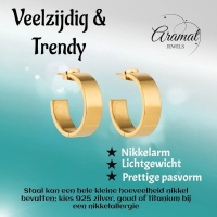Brede RVS Oorringen Glad Glanzend Goudkleur 23mm x 7mm -
