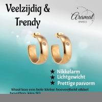 Brede RVS Oorringen met Zirkonia Accent Goudkleur 23mm x 7mm -
