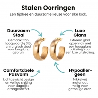 Brede RVS Oorringen met Zirkonia Accent Goudkleur 23mm x 7mm -
