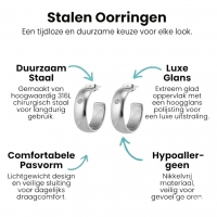 Brede RVS Oorringen met Zirkonia Accent Zilverkleur 23mm x 7mm -