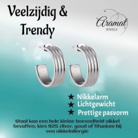 RVS Oorringen met Vier Lijnen Zilverkleur 23mm -