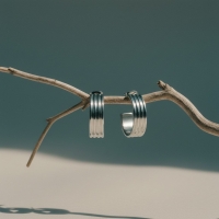 RVS Oorringen met Vier Lijnen Zilverkleur 23mm -