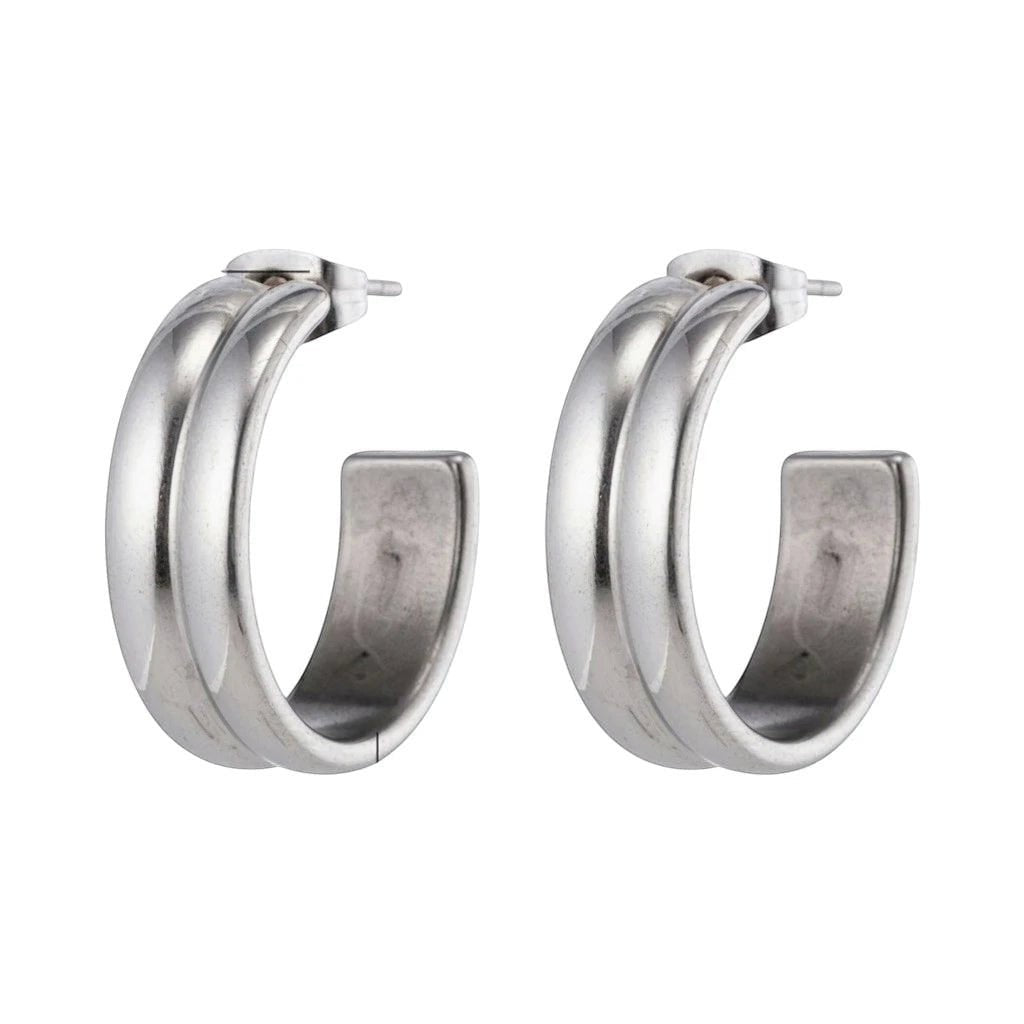 RVS Oorringen met Dubbele Lijn Zilverkleur 23mm -