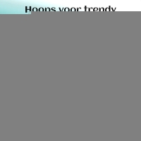 RVS Oorringen met Dubbele Lijn Zilverkleur 23mm -