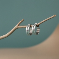 RVS Oorringen met Dubbele Lijn Zilverkleur 23mm -