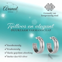 RVS Oorringen met Dubbele Lijn Zilverkleur 23mm -